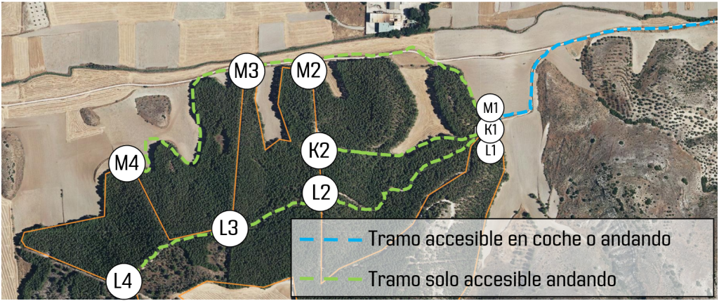 ACMPANANTES_LOS_PINOS_20K-33K_vfinal
